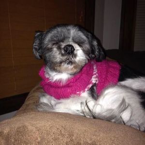 Meet your Posher, Caren